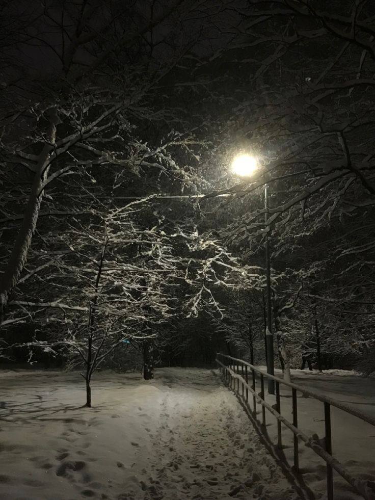 Философия красоты