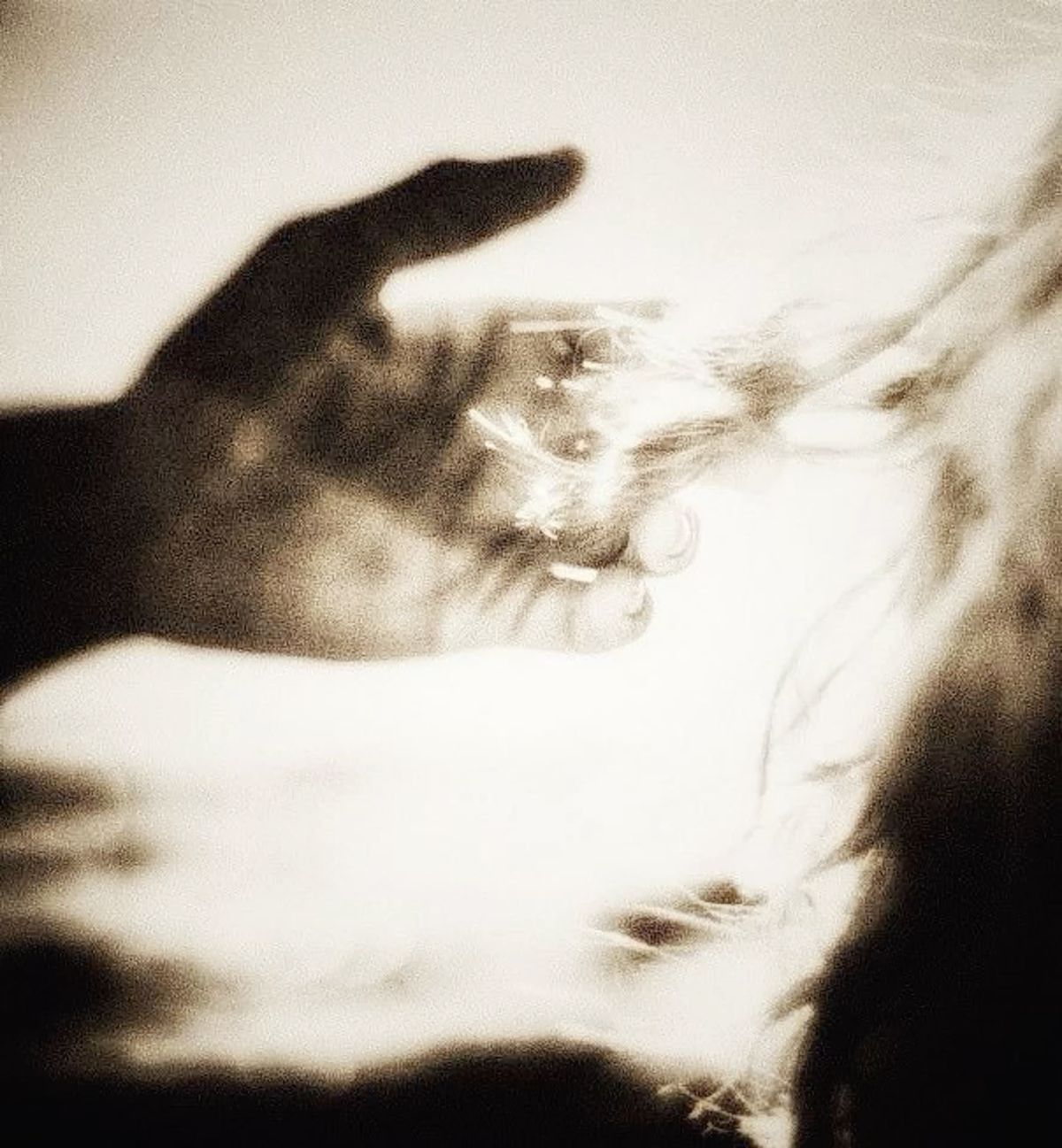 Я живу не как хотелось