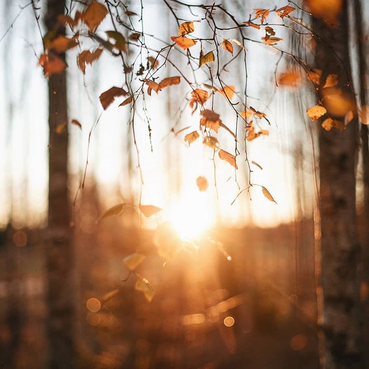 Здравствуй, солнце золотое, ты заботишься о нас!