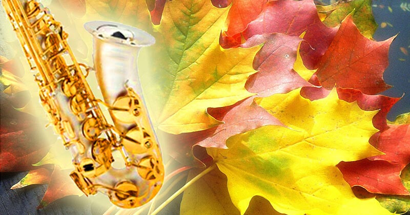 Знай, вернуться птичьи стаи