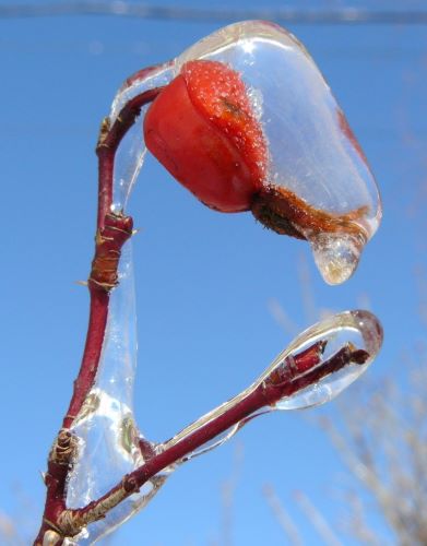 А осени лишь капелька осталась