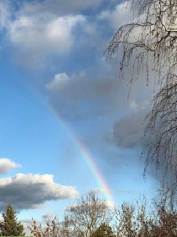 Природа веснеет...