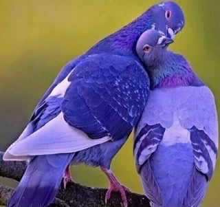 Да, мне и холод нипочём