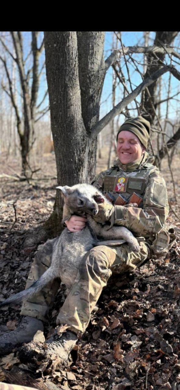 Последний приказ