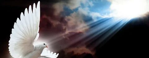 Сияние небес