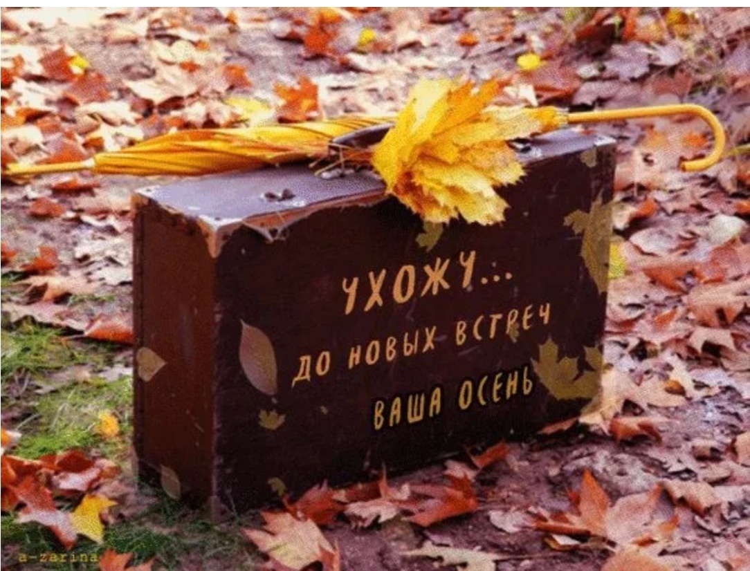 Ты моя отгоревшая осень