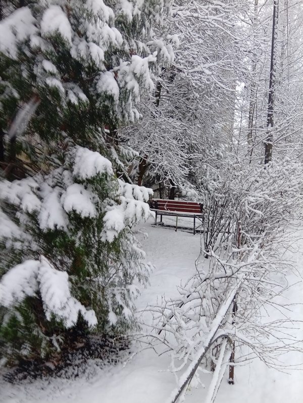 В ожидании снега