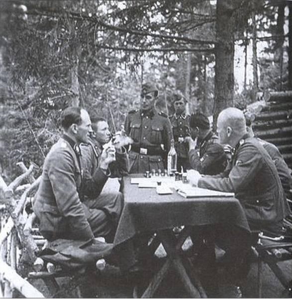 1-я Русская бригада СС Дружина