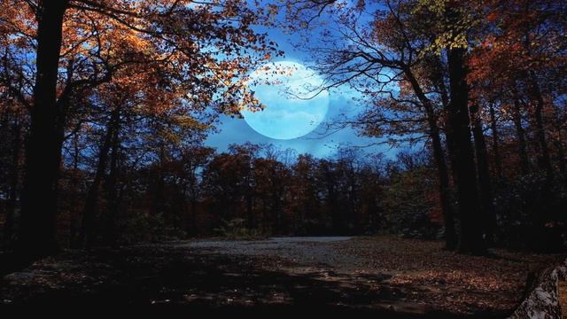 Я не сплю этой ночью тёмною