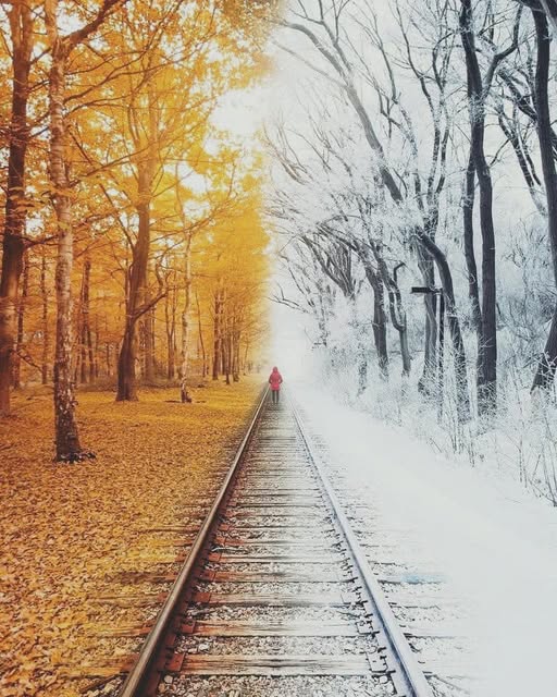 Осень слева, зима справа