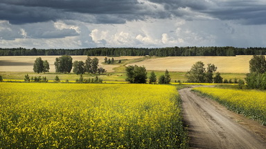 Моя провинция