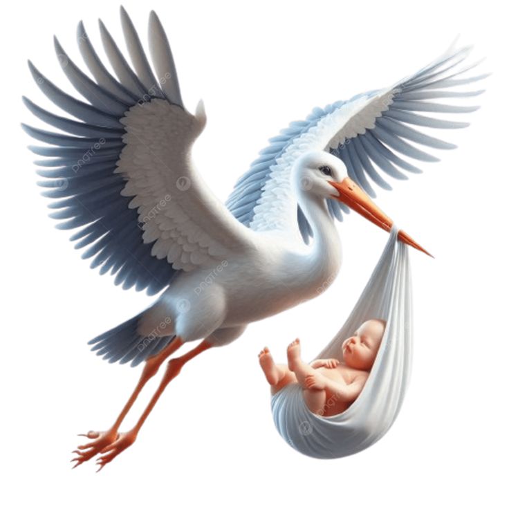 В ожидании чуда