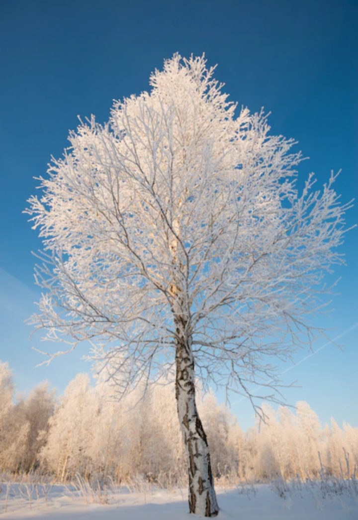Удивил ноябрь - красавец