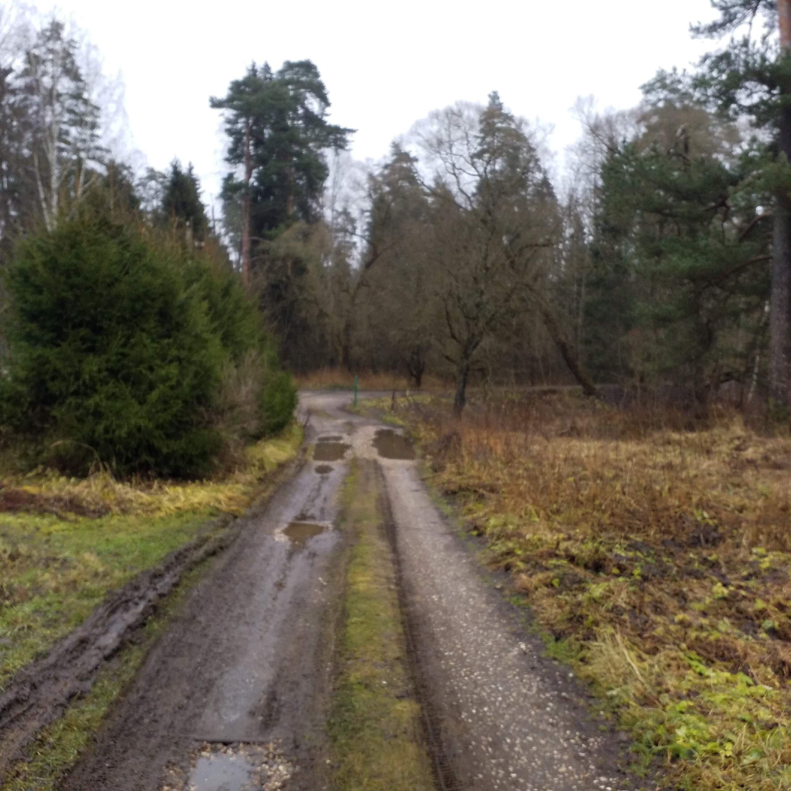 Ёлкин мать!