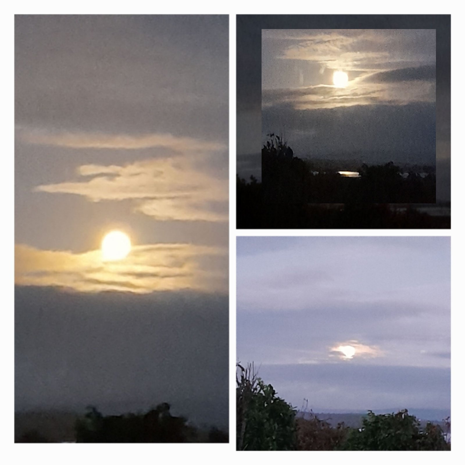 Бобровая Луна