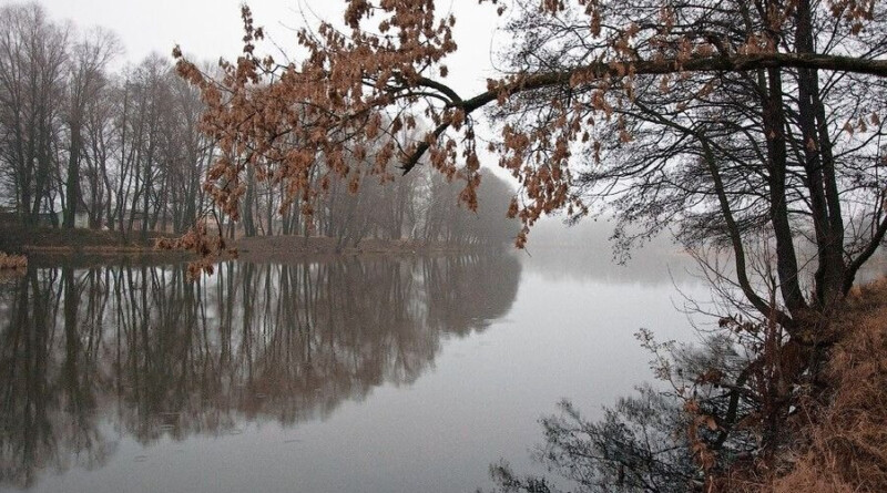 День последний ноября 2025