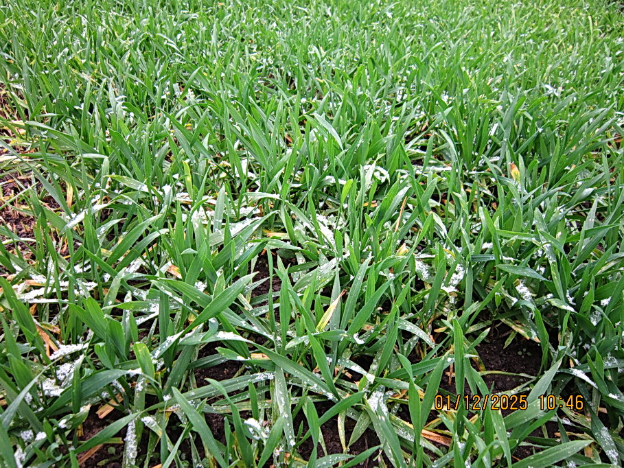 Осень ушла а зима вступила в законные права