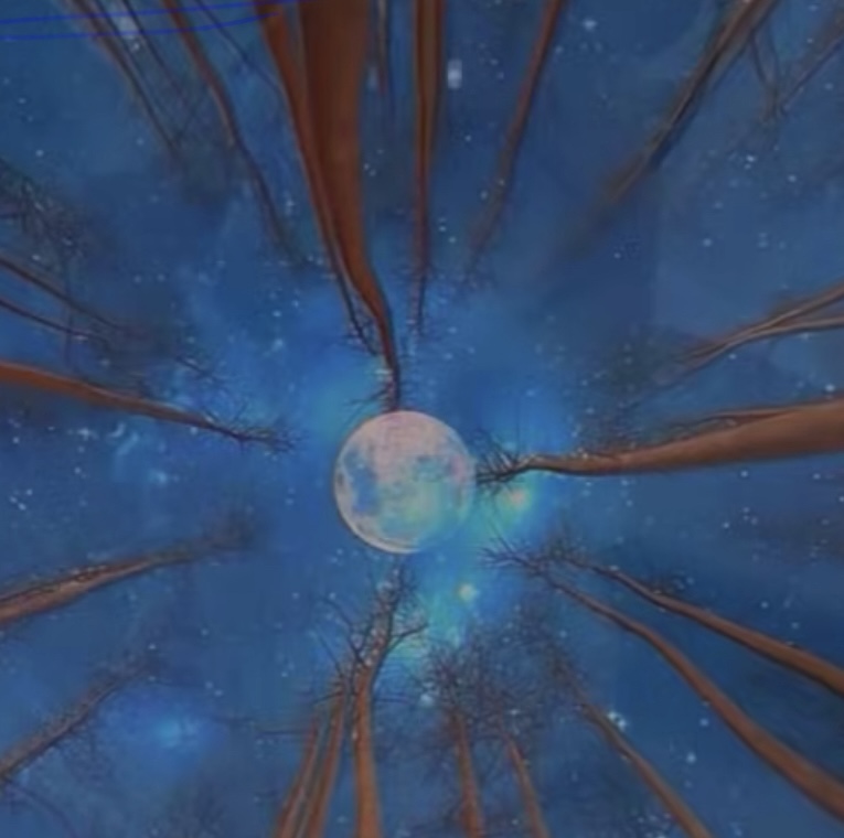 не участник викторины