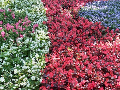 Август прекрасный лета венец...