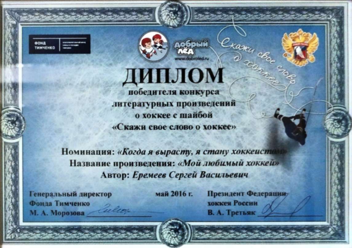 Мой любимый хоккей