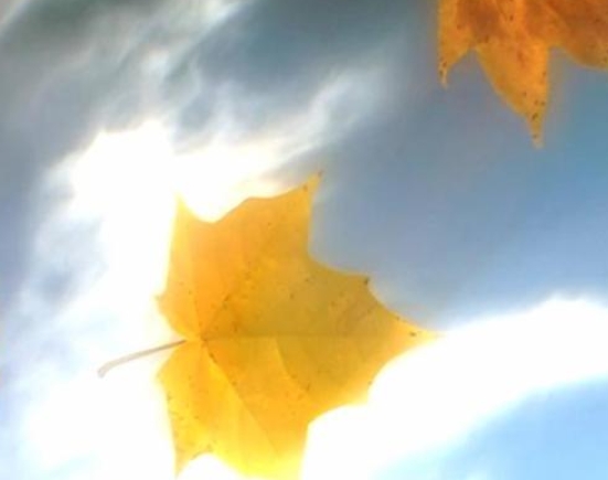 Осенним листиком прощальным...