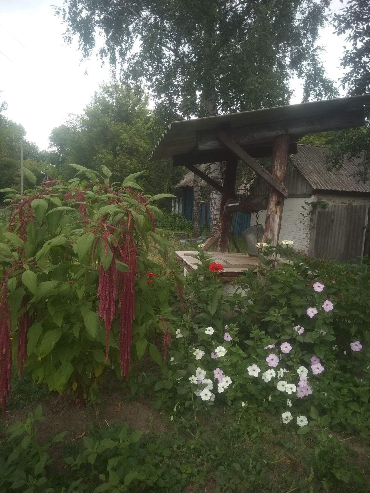 Как зыбок мир