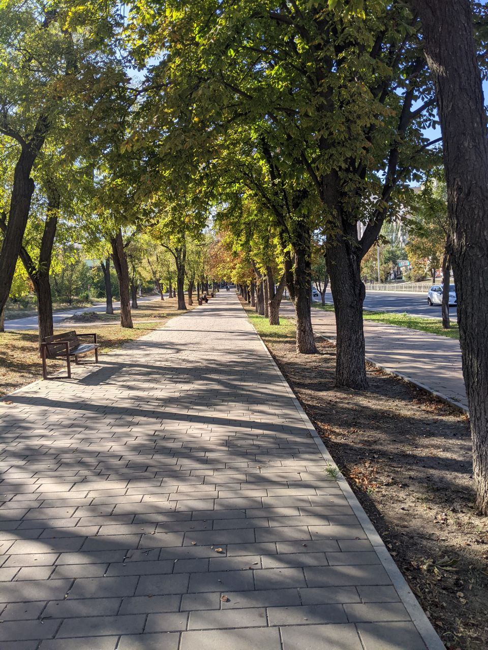 Снами наяву