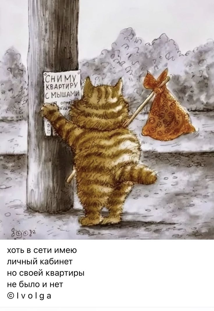 Семейку мышей я с собой приведу!