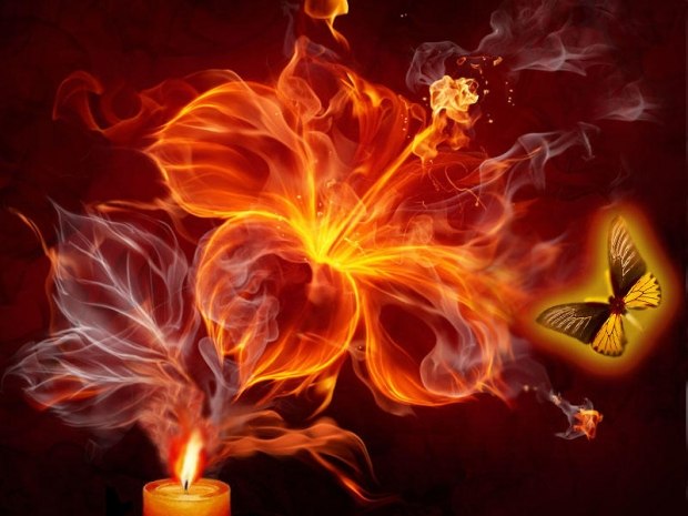 Грешат и плачут, куда же приведёт она?