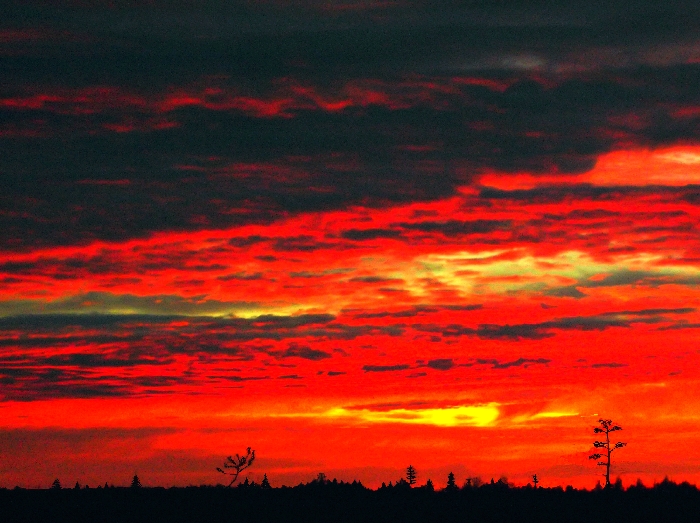 Шар земной в своей печали...