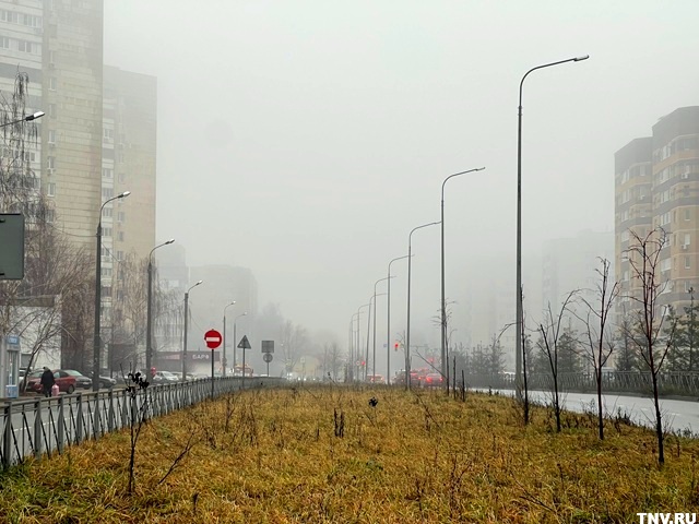 Первый день зимы без снега