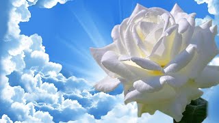 Голубые небеса