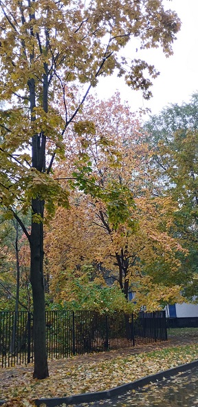 Осеннее дыхание