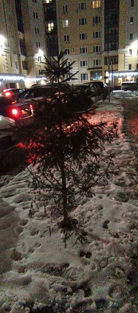 Зимний оптимизм Словесный призыв морозов