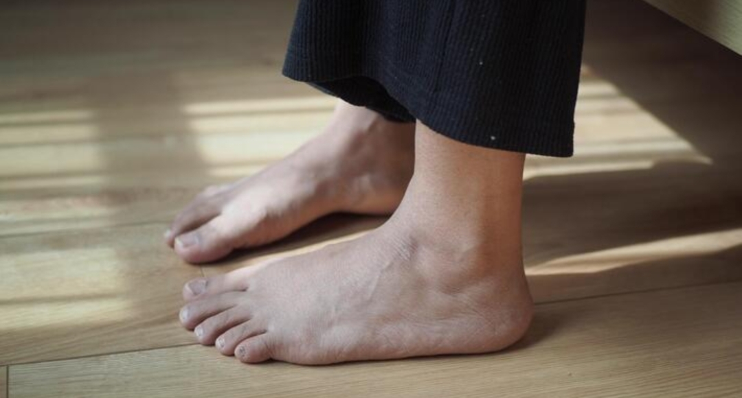 Рояль в кустах