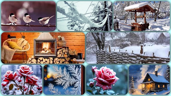 Склонили в тоске розы бутоны набекрень..