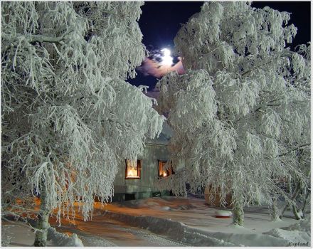 Снег на деревьях Ромбломанон Снег на деревьях Ромбломанон