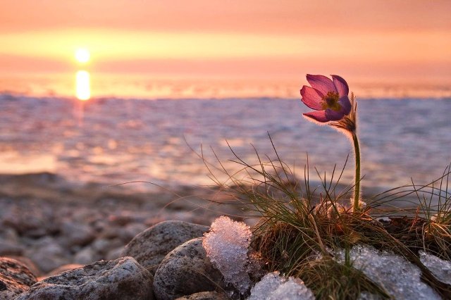 Рассвет надежды