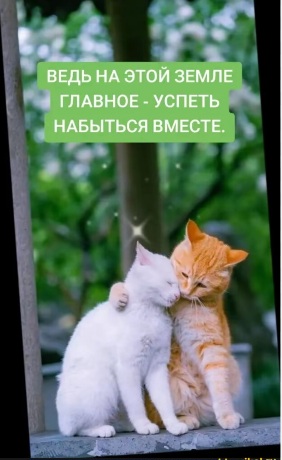 Хочу тобой надышаться