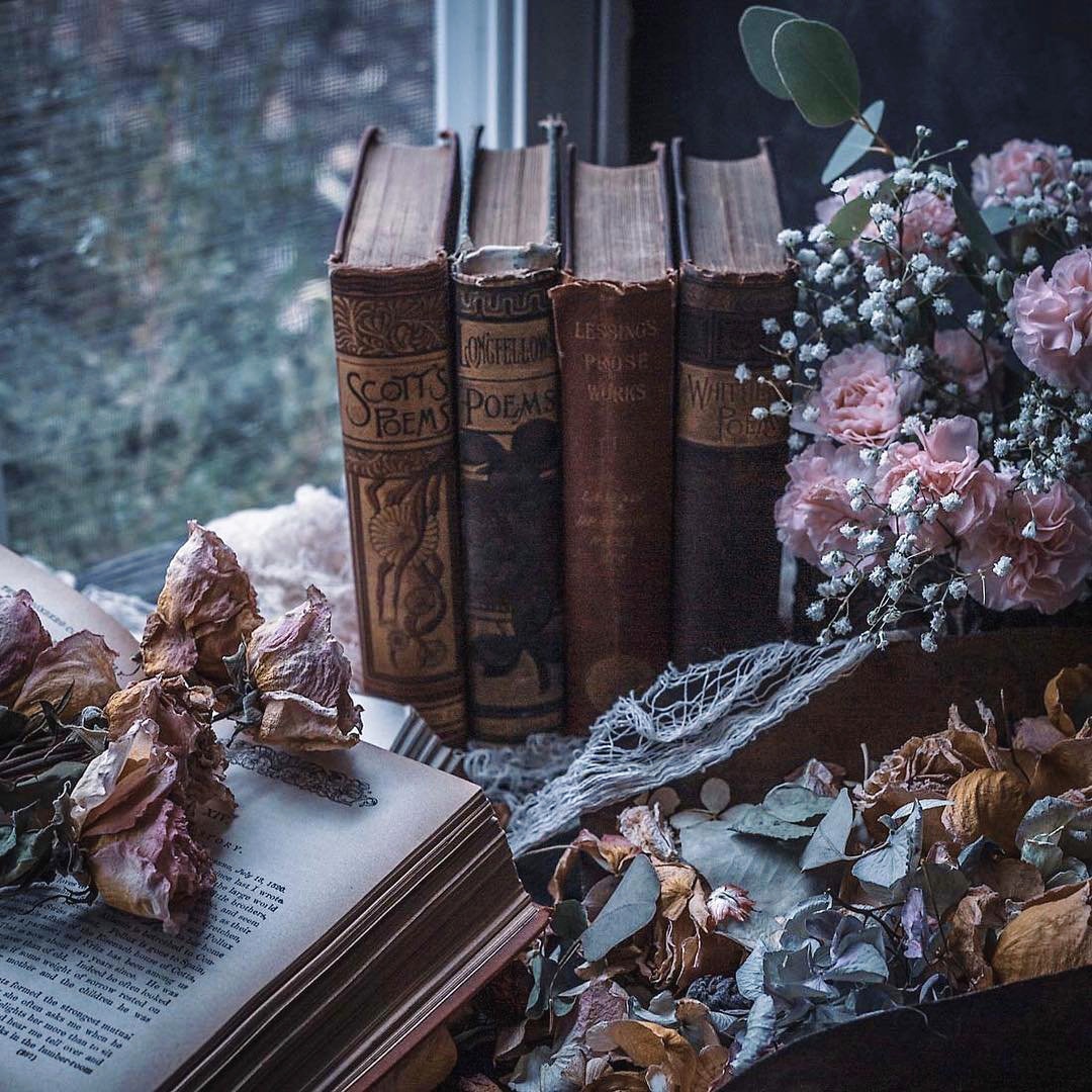 Turn me into literature